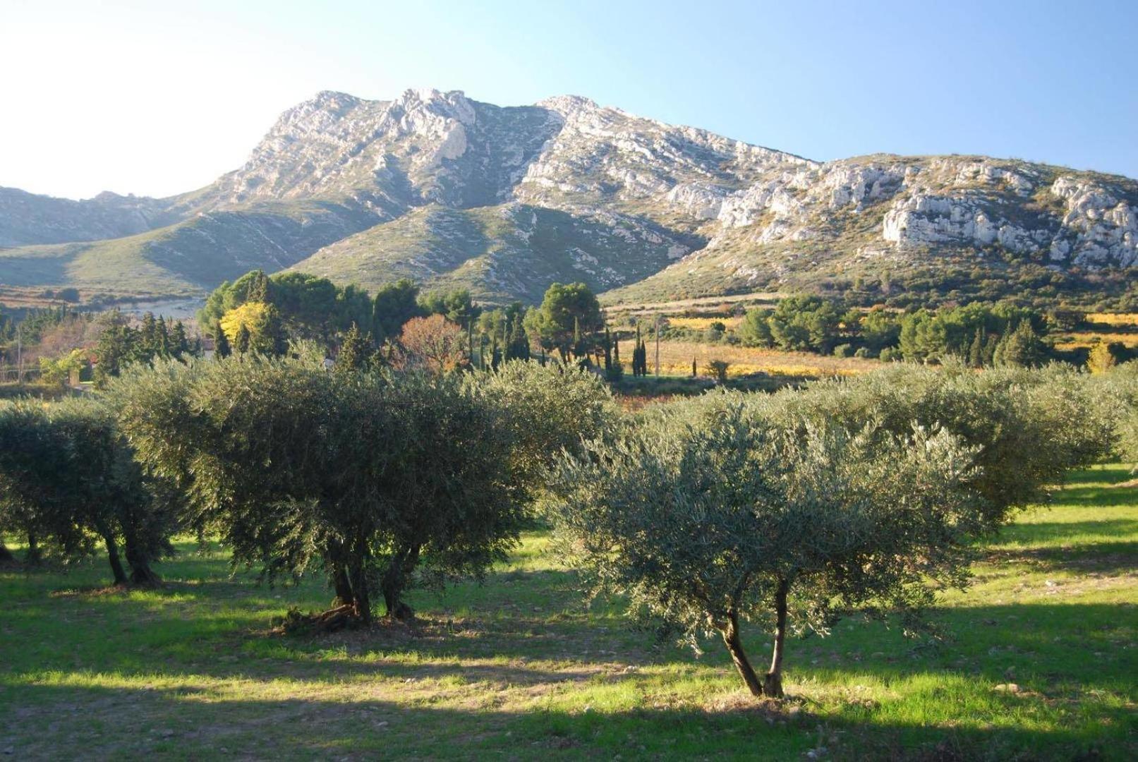 Apartmán Sous Le Soleil Des Alpilles Mouries Exteriér fotografie