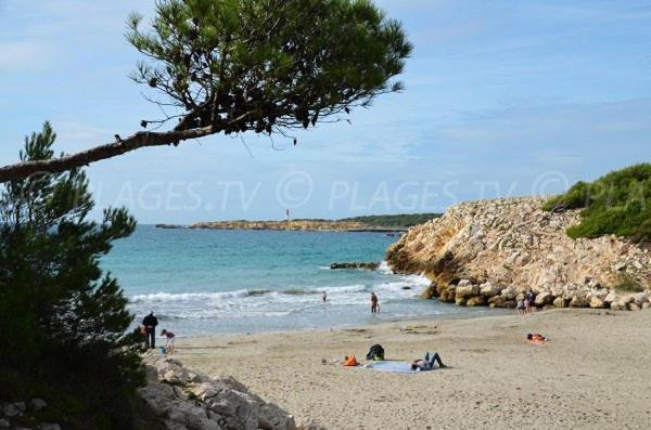 Apartmán Sous Le Soleil Des Alpilles Mouries Exteriér fotografie